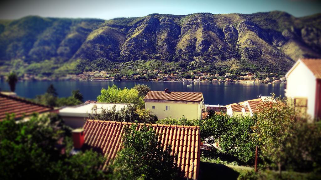 Apartments Lazarevic Kotor Zimmer foto